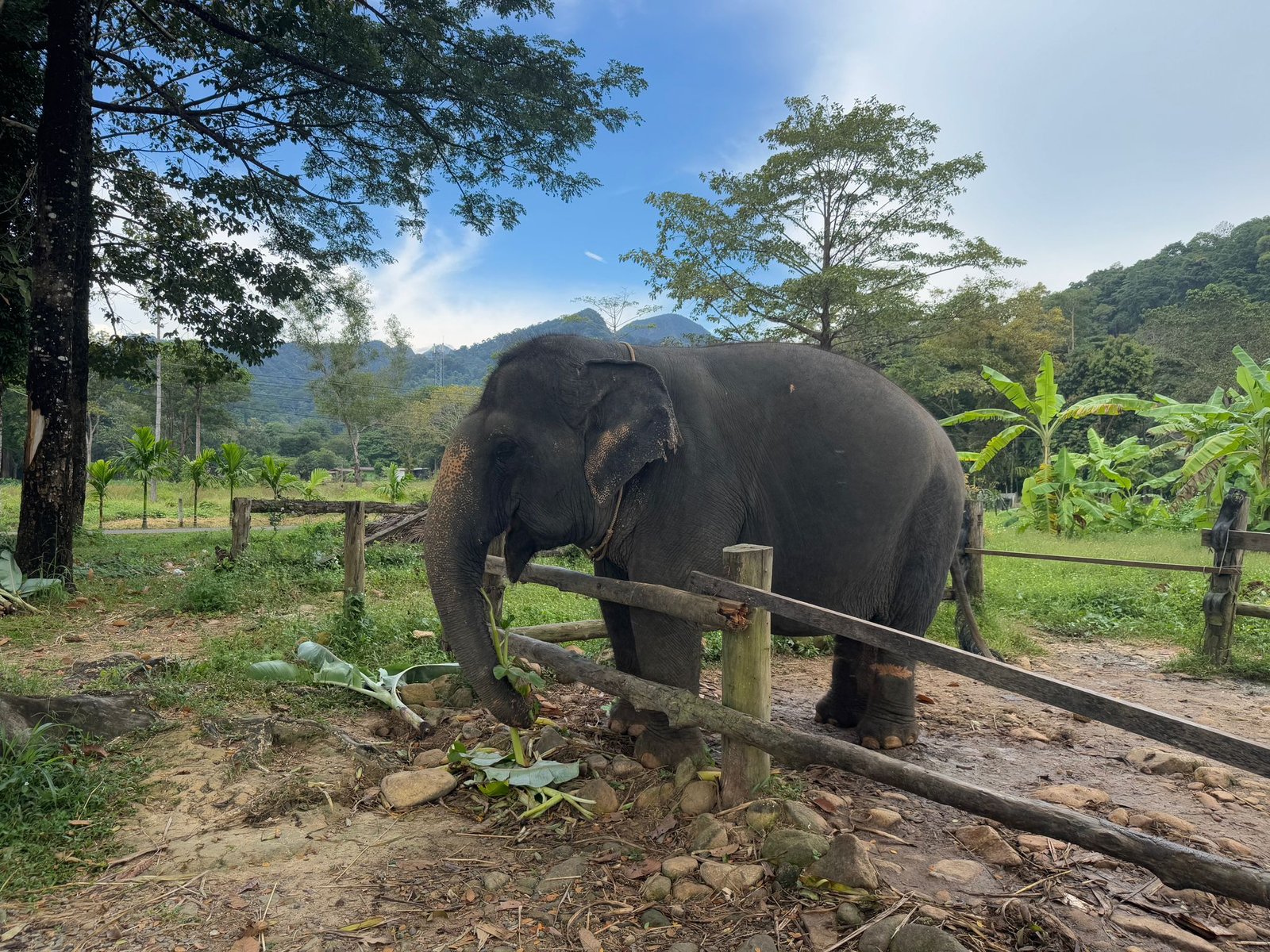 Alltag statt Urlaub – Essen, Baden, Mücken Alltag statt Urlaub – Essen, Baden, Mücken